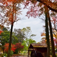 水車小屋の秋