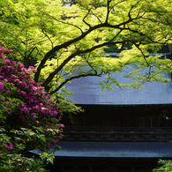 古寺の彩り　1