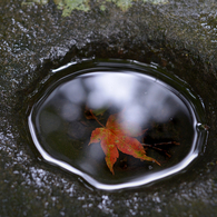 古寺の彩り　15