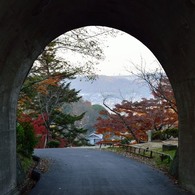 向こうの世界