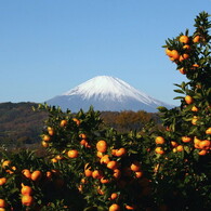 秦野南ヶ丘からの富士山