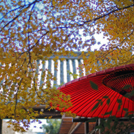 京都の紅葉2013　2-3