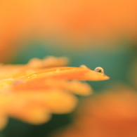 PHOTO－0216