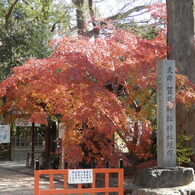 下鴨神社