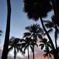 Halekulani sunset