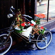 素敵な自転車♪