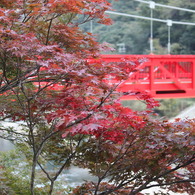 紅葉と紅い橋