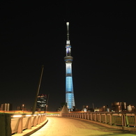 桜橋とスカイツリー