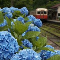 月崎駅にて