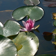 P1080806