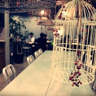 empty bird cage