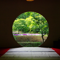 20080607北鎌倉明月院