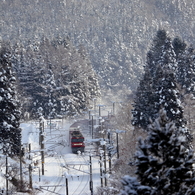 Snowfield Train XVII