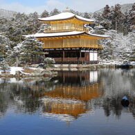 雪金閣！