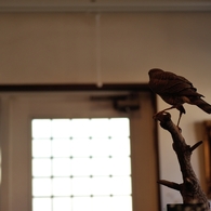 BIRDCARVING (3)