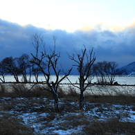 厳寒の湖