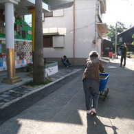 島の朝