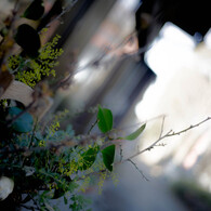 DSC00388