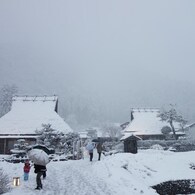 雪景色