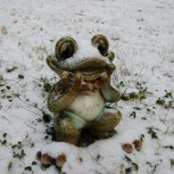 雪