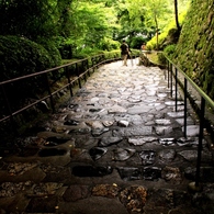 初夏　長谷寺