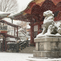雪の日の秋葉原３