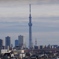 SKYTREE in the afternoon.