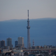 SKYTREE in the evening.