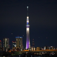 SKYTREE in the night.