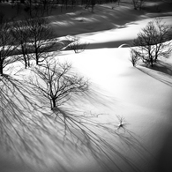 Creeping Shadow