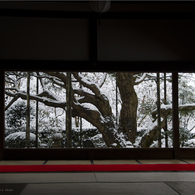snowscape