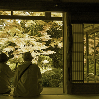 日本の庭④～秋の老夫婦～