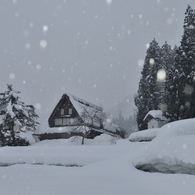 耳すます　しんしんと降る　雪のおと