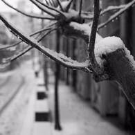 積雪