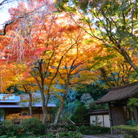 瑞泉寺の紅葉