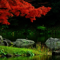 Phot