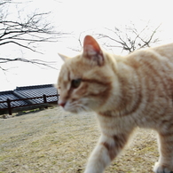 ちょっと前を御免ないさいよ。