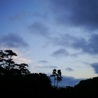伊勢神宮