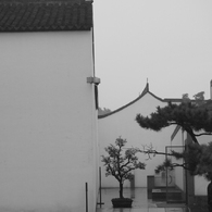 蘇州博物館