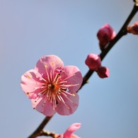 【大盃】20140222