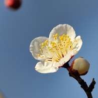 【翁梅】20140222