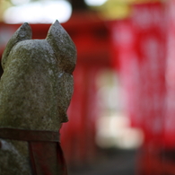 神使 - 3