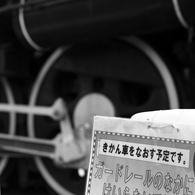 はいらないでね！！