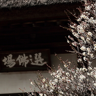 芳しき