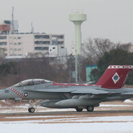 ＃100　第102戦闘飛行隊（VFA-102）― ダイアモンドバックス(Diam