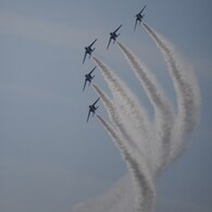 DSC_9991