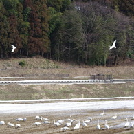 餌場