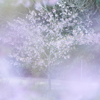 a day like this -3-