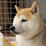 最初の被写体は・・・・①
