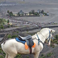 gunung bromo2
